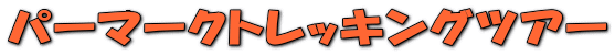 �p�[�}�[�N�g���b�L���O�c�A�[
