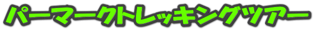 �p�[�}�[�N�g���b�L���O�c�A�[
