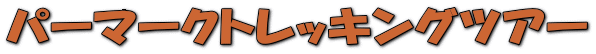 �p�[�}�[�N�g���b�L���O�c�A�[

