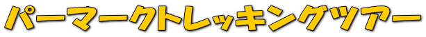 �p�[�}�[�N�g���b�L���O�c�A�[

