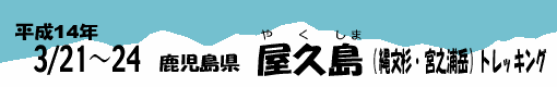 ���v���g���b�L���O�c�A�[